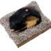 Knuffel met Geluid Alexandra House Living Grijs Hond 14 x 6 x 13 cm Mini