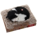 Peluche con Suono Alexandra House Living Grigio Gatto 14 x 6 x 13 cm Mini