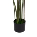 Decoratieve plant PVC Cement Weefsel 40 x 40 x 150 cm