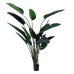 Decoratieve plant Polyethyleen Ijzer Cement Paradijsvogel 245 cm 120 x 120 x 245 cm