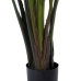 Decoratieve plant Polyethyleen Ijzer Cement Paradijsvogel 245 cm 120 x 120 x 245 cm