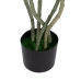 Dekorativ plante PVC Cement 40 x 40 x 170 cm