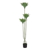 Decoratieve plant PVC Cement 30 x 30 x 150 cm