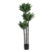 Decoratieve plant PVC Cement 40 x 40 x 175 cm