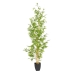 Decoratieve plant Polyethyleen Bamboe 90 x 86 x 220 cm