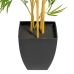 Decoratieve plant Polyethyleen Bamboe 90 x 86 x 220 cm