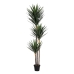 Decoratieve plant Polyethyleen Ijzer Cement Cassave 30 x 30 x 250 cm