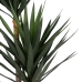 Dekorativ Plante Polyetylen Jern Sement Yucca 30 x 30 x 250 cm