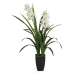 Decoratieve plant Bamboe Polyethyleen Ijzer Cement Weefsel 45 x 45 x 100 cm