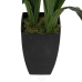 Decoratieve plant Bamboe Polyethyleen Ijzer Cement Weefsel 45 x 45 x 100 cm