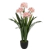 Decoratieve plant Bamboe Polyethyleen Ijzer Cement Weefsel 50 x 50 x 100 cm