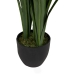 Decoratieve plant Bamboe Polyethyleen Ijzer Cement Weefsel 50 x 50 x 100 cm