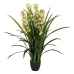 Decoratieve plant Bamboe Polyethyleen Ijzer Cement Weefsel 45 x 45 x 110 cm