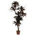 Decoratieve plant Polyethyleen Ijzer Cement 45 x 45 x 170 cm