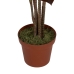 Decoratieve plant Polyethyleen Ijzer Cement 45 x 45 x 170 cm