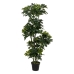 Decoratieve plant Bamboe Polyethyleen Ijzer Cement Weefsel 45 x 45 x 145 cm