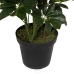 Decoratieve plant Bamboe Polyethyleen Ijzer Cement Weefsel 45 x 45 x 145 cm