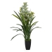 Decoratieve plant Bamboe Polyethyleen Ijzer Cement Weefsel 45 x 45 x 110 cm