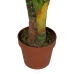 Decoratieve plant Bamboe Polyethyleen Ijzer Cement 45 x 45 x 130 cm