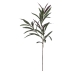 Decoratieve plant PEVA 30 X 25 X 72 CM