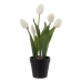 Decoratieve plant Polyester Polyethyleen Ijzer 11 x 11 x 31 cm