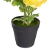 Decoratieve plant Polyester Polyethyleen Ijzer Bloem 11 x 11 x 36 cm