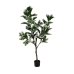 Decoratieve plant Rubber 70 x 70 x 150 cm