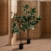 Decorative Plant Rubber 70 x 70 x 150 cm