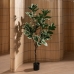 Decorative Plant Rubber 70 x 70 x 150 cm