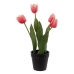 Decoratieve plant Polyester Polyethyleen Ijzer 11 x 11 x 31 cm