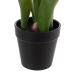 Decorative Plant Polyester Polyethylene Iron 11 x 11 x 31 cm