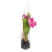 Decoratieve plant Polyester Polyethyleen Ijzer 7 x 7 x 18 cm