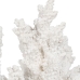 Figura Decorativa Blanco Resina Coral 34 X 13 X 27 CM