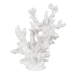 Figura Decorativa Blanco Resina Coral 17 x 17 x 20 cm