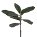 Decoratieve plant PEVA 29 x 29 x 66 cm