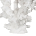 Figura Decorativa Branco Resina Coral 17 x 17 x 20 cm