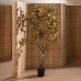 Decoratieve plant Rubber Polypropyleen 60 x 60 x 150 cm