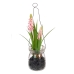 Decoratieve plant Polyester Polyethyleen Ijzer 5,5 X 5,5 X 21 CM