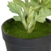 Decoratieve plant Polyester Polyethyleen Ijzer Bloem 11 x 11 x 36 cm