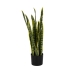 Decoratieve plant Rubber Polypropyleen 20 x 20 x 80 cm