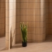 Planta Decorativa Borracha Polipropileno 20 x 20 x 80 cm