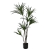 Decoratieve plant Rubber Polypropyleen 70 x 70 x 130 cm