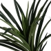 Decoratieve plant Rubber Polypropyleen 70 x 70 x 130 cm