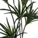 Decoratieve plant Rubber Polypropyleen 70 x 70 x 130 cm