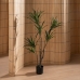 Decoratieve plant Rubber Polypropyleen 70 x 70 x 130 cm