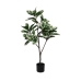 Decoratieve plant Rubber Polypropyleen 50 x 50 x 120 cm