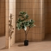 Planta Decorativa Borracha Polipropileno 50 x 50 x 120 cm