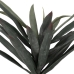 Decorative Plant Rubber polypropylene Yucca 40 x 40 x 125 cm