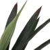 Decorative Plant Rubber polypropylene Yucca 40 x 40 x 125 cm