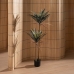 Decoratieve plant Rubber Polypropyleen Cassave 40 x 40 x 125 cm